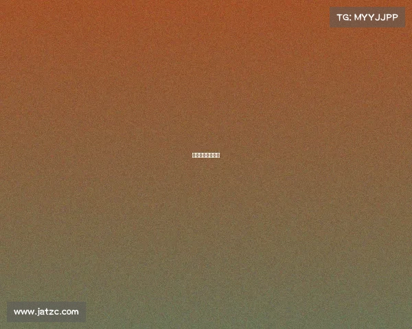 中国女排比赛现场