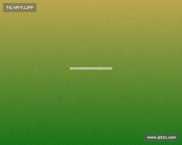 甘肃汽车赛事盛大启航戈壁沙漠赛场见证速度激情对决梦想之旅